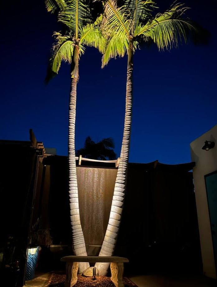 Stelvio BAB Brass Spot Light