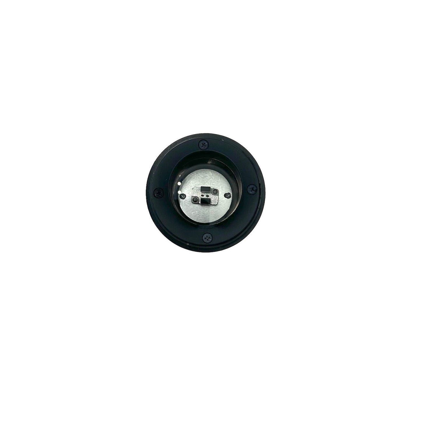 Palomar Black Brass In-Ground Well Light