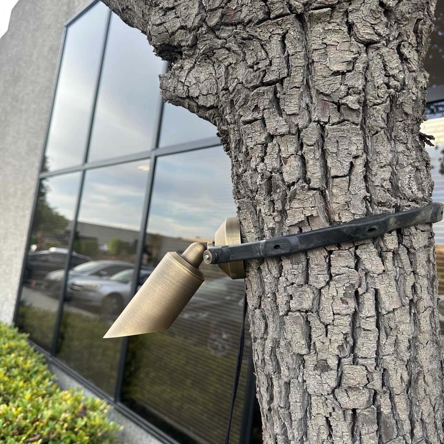 Tree Strap Mount