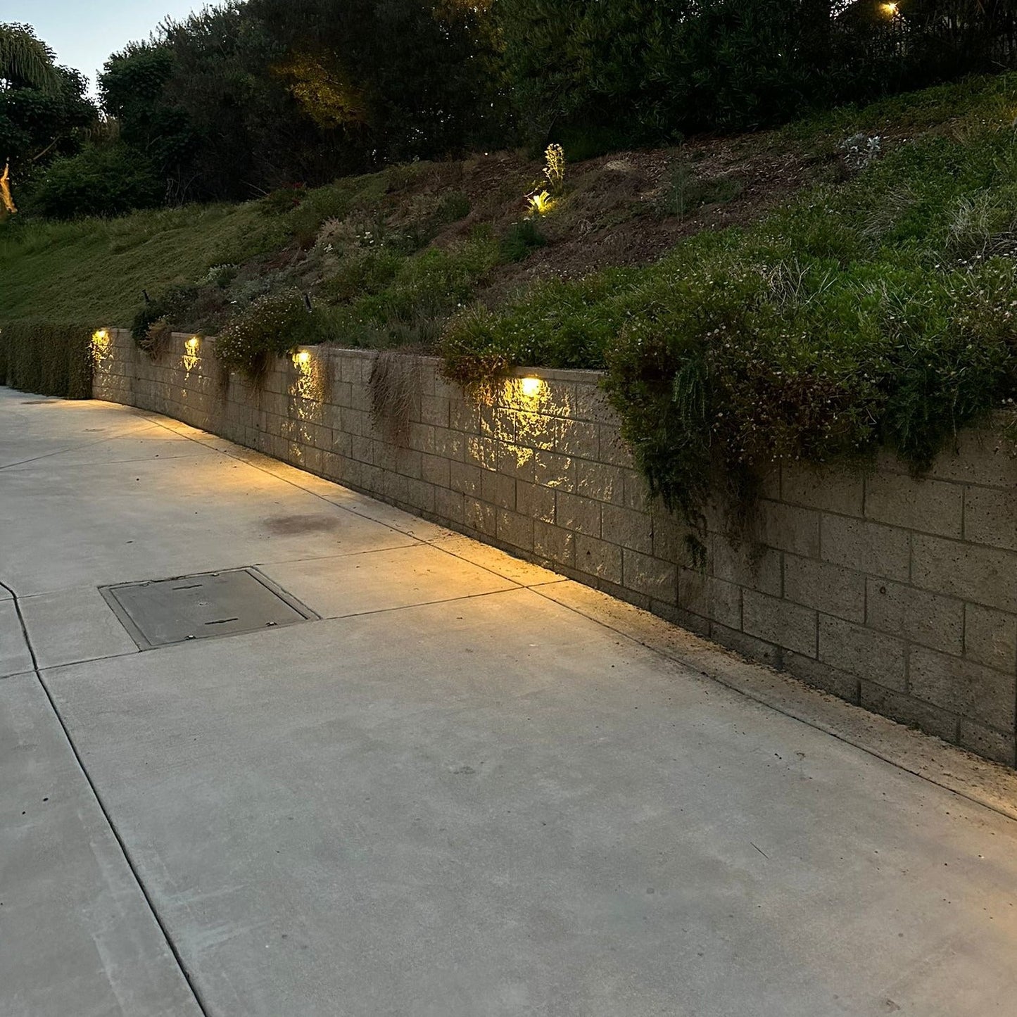 Tulay Black Brass Hardscape Light